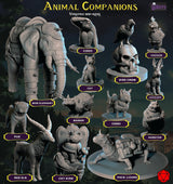 Miniaturas de Héroes y Compañeros Animales para D&D 28-32mm
