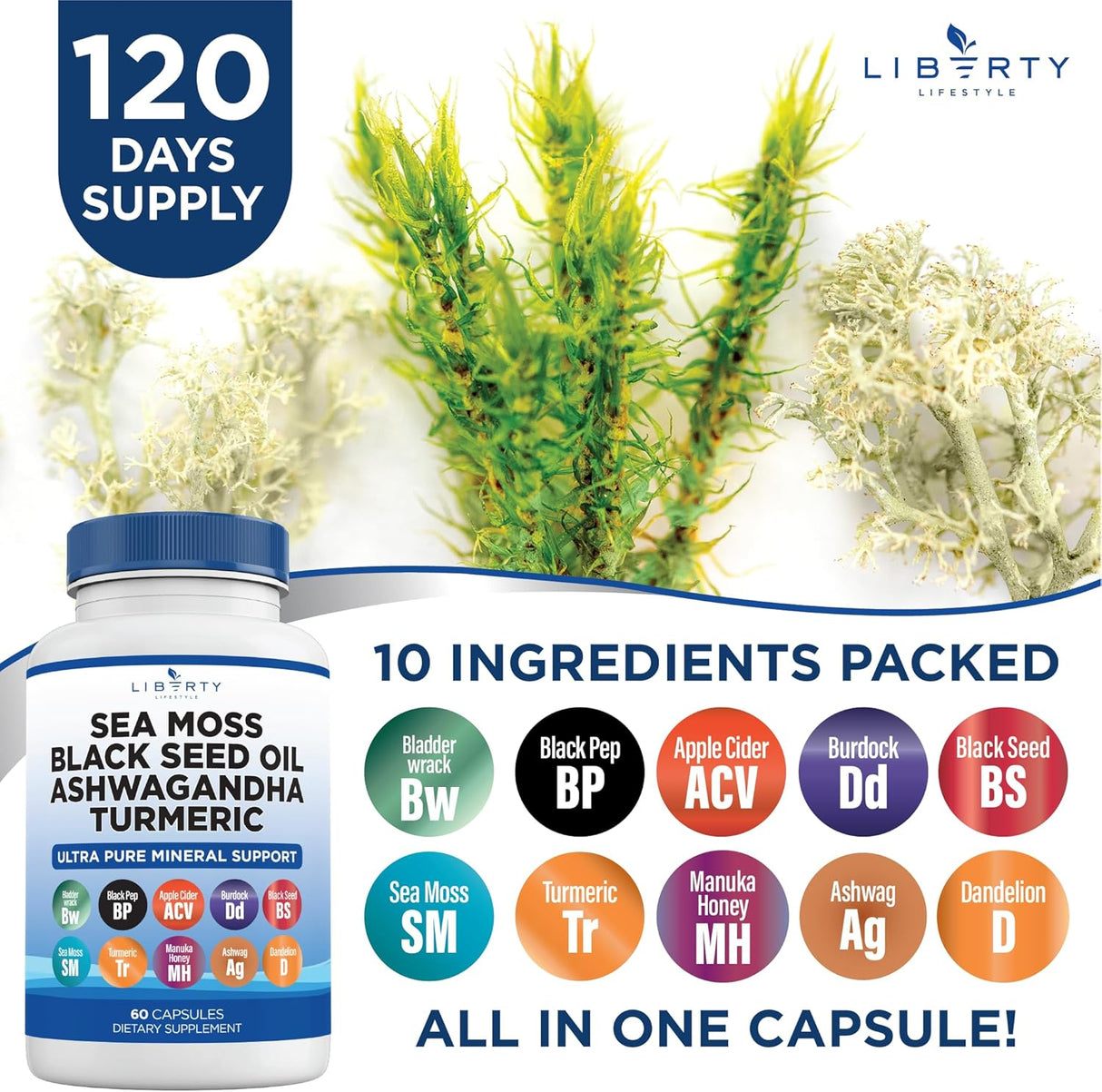 Suplemento natural con aceite de semilla negra y jengibre 1 Pack