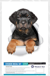 Stickers 3D Rottweiler - Winston & Bear - 2 Pack - Decorativos