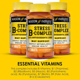 MASON NATURAL B-Complex Estrés + Zinc 6M 3Pack