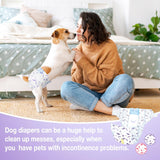 Pet Soft Pañales desechables para perras –  20 pañales