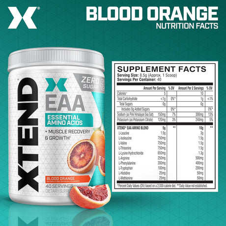 Scivation XTEND EAA+BCAA | Recuperación Muscular | 40 Porciones