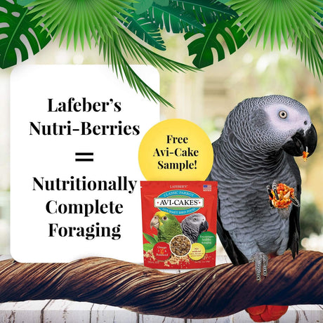 Nutri-Berries - Paquetes de muestras (paquete de 4)