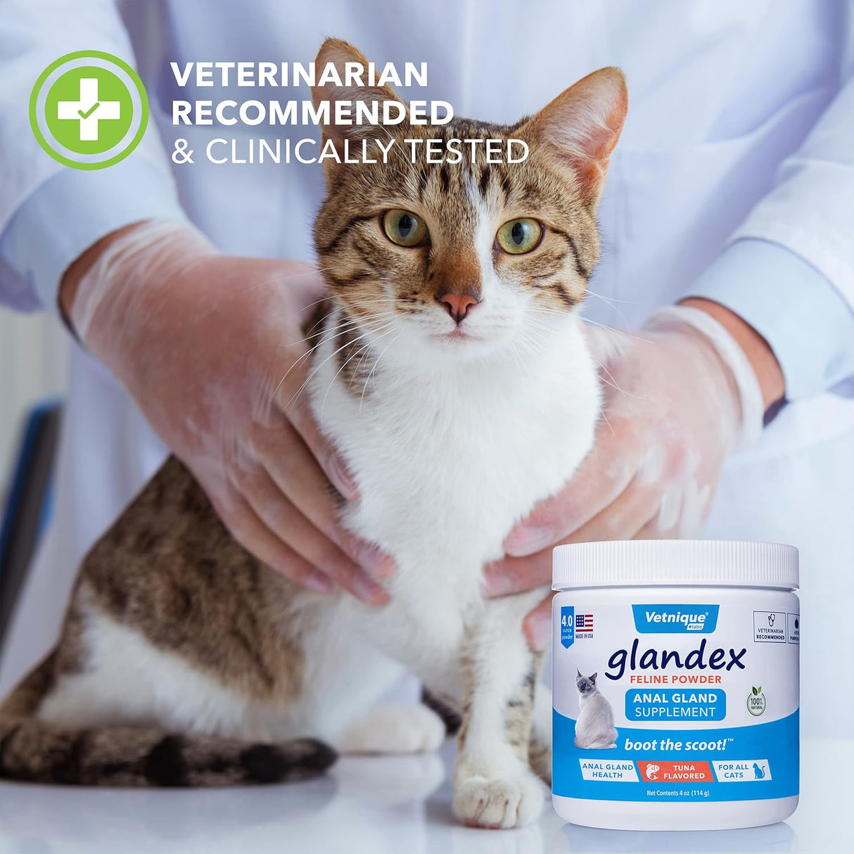 Suplemento de fibra de glándula anal felina en polvo