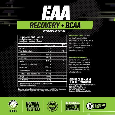 EAA Recovery+BCAAs Suplemento Post Entreno Muscle Pharm 30 Servs