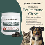 Masticables Inmunológicos con Hongos para Mascotas