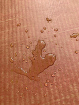 Caja de arena biodegradable de entrada superior o lateral