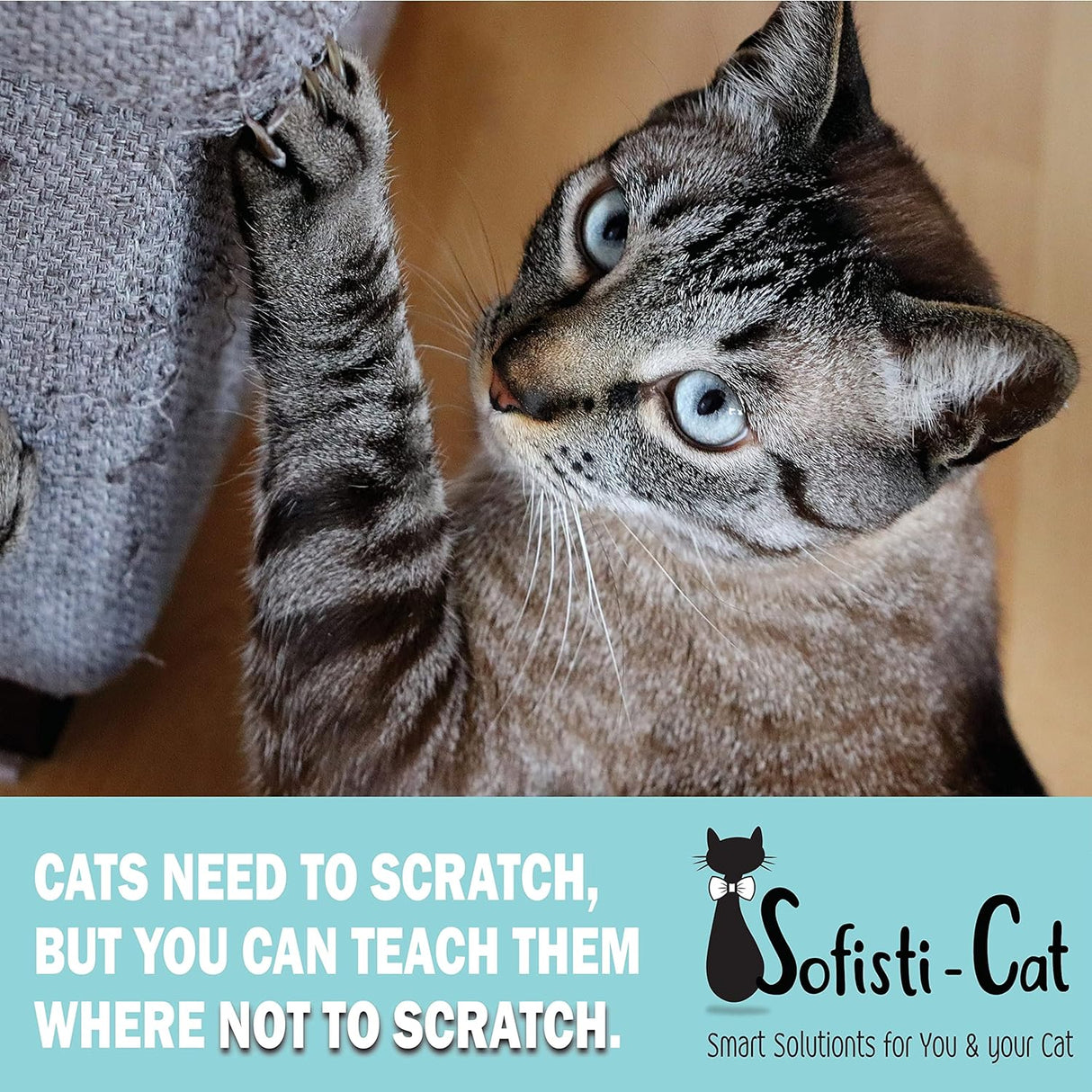 Cinta de entrenamiento de arañazos de gatos para muebles