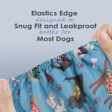 wegreeco Pañales lavables para vientre para perros paquete