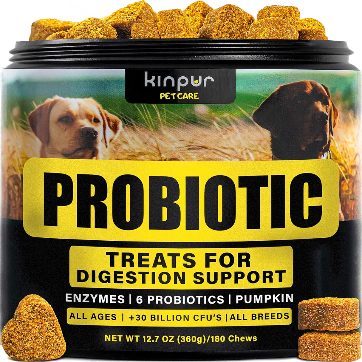 Probióticos para perros, Apoya la salud intestinal, alergias