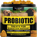 Probióticos para perros, Apoya la salud intestinal, alergias