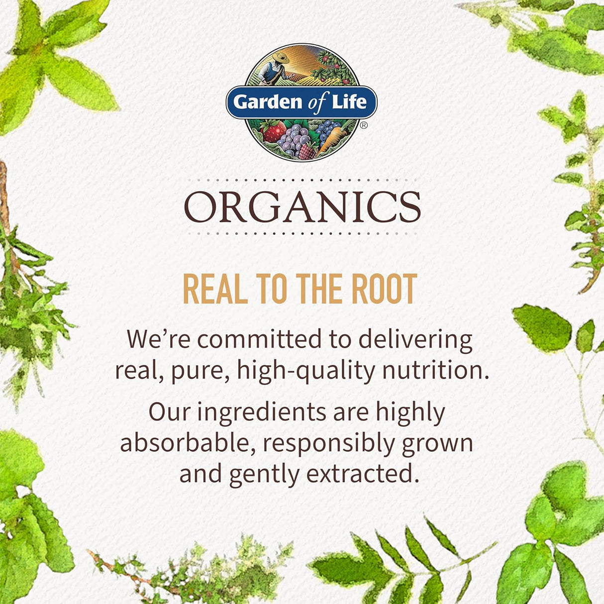 Suplemento de B12 orgánico de Garden of Life, energía 2oz