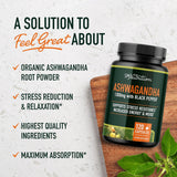 Suplemento Ashwagandha 1300mg, Adaptógeno, 120 cápsulas