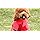 Wizland Chubasquero para perros con capucha, ligera, impermeable, XS a XXL para perros y cachorros (amarillo, XS)