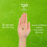 Suplemento Orgánico de Hongos, 10 en 1, Apoyo Integral