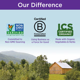 Complejo de vitamina B  Complejo de alimentos con coenzima B