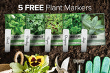 Semillas de Hierbas Italianas Gardeners Basics, 5 Variedades