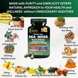 Suplemento Natural Vegano Halal con Vitaminas y Hierbas Mix