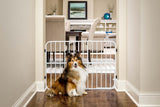 Puerta para mascotas expandible de metal Carlson, 26-42