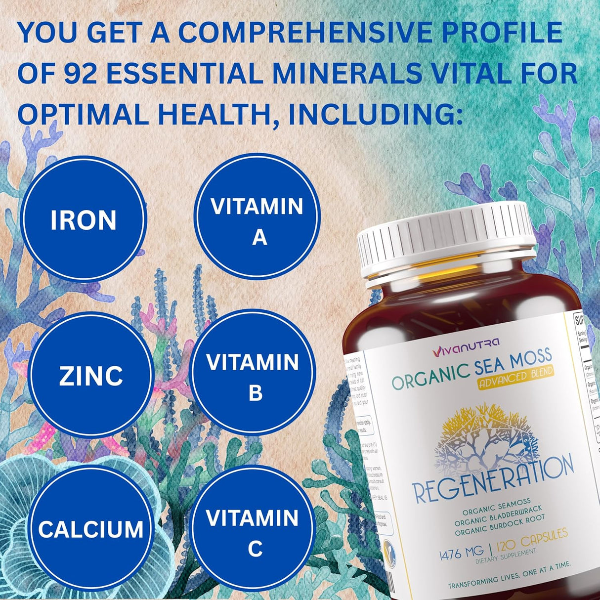 Viva Nutra Cápsulas Orgánicas de Musgo Irlandés, Bladderwrack y Bardana