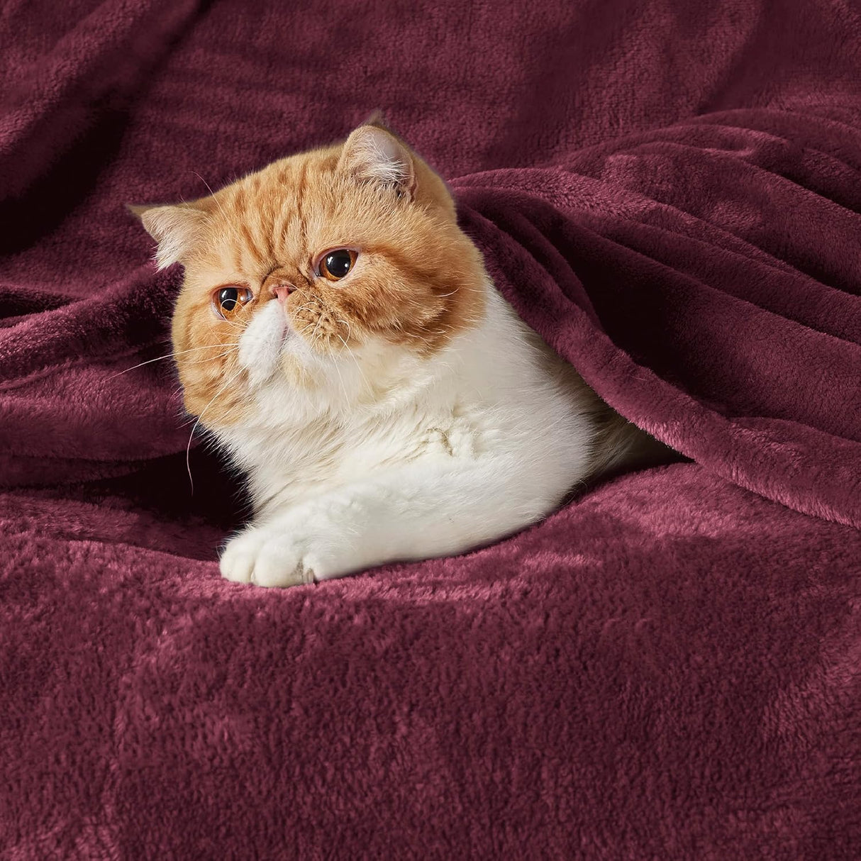 Manta Fleece Bedsure - 300GSM, Suave y Ligera, Modelo Throw