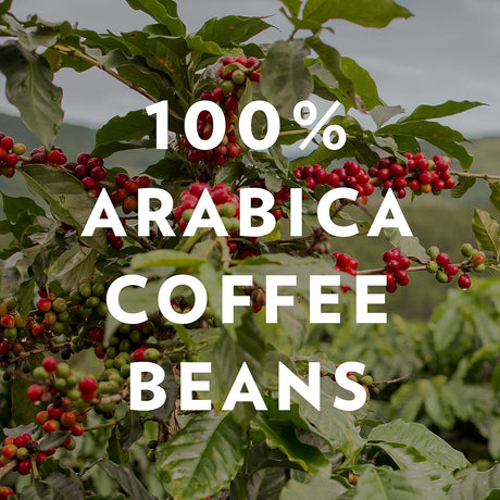 Café Molido Community Coffee, Mezcla Signature, 64 Oz (2 Paquetes)