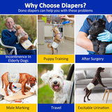 Dono Pañales desechables para perros machos, 48 piezas