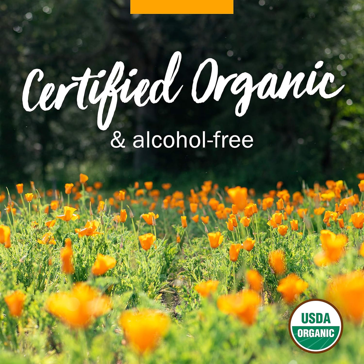 Suplemento Orgánico Sin Alcohol Raíz de Valeriana Glycerita