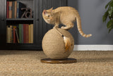 Prevue Productos para mascotas Esfera con juguete de borla