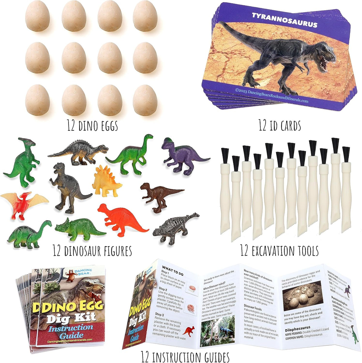 Kit  DANCING BEARde Excavación Dinosaurios para 12 Niños