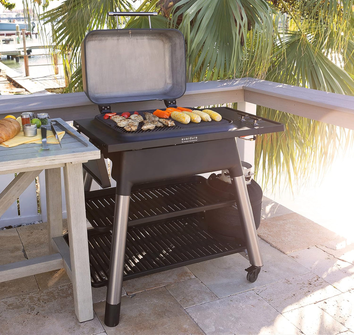 Parrilla de Gas Portátil Everdure FORCE 2 Quemadores, 388 in²