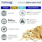 Suplementos Alimenticios ácido alfa lipoico
