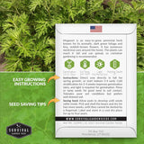 Semillas de Artemisa Común - Heirloom, No GMO - 1 Paquete