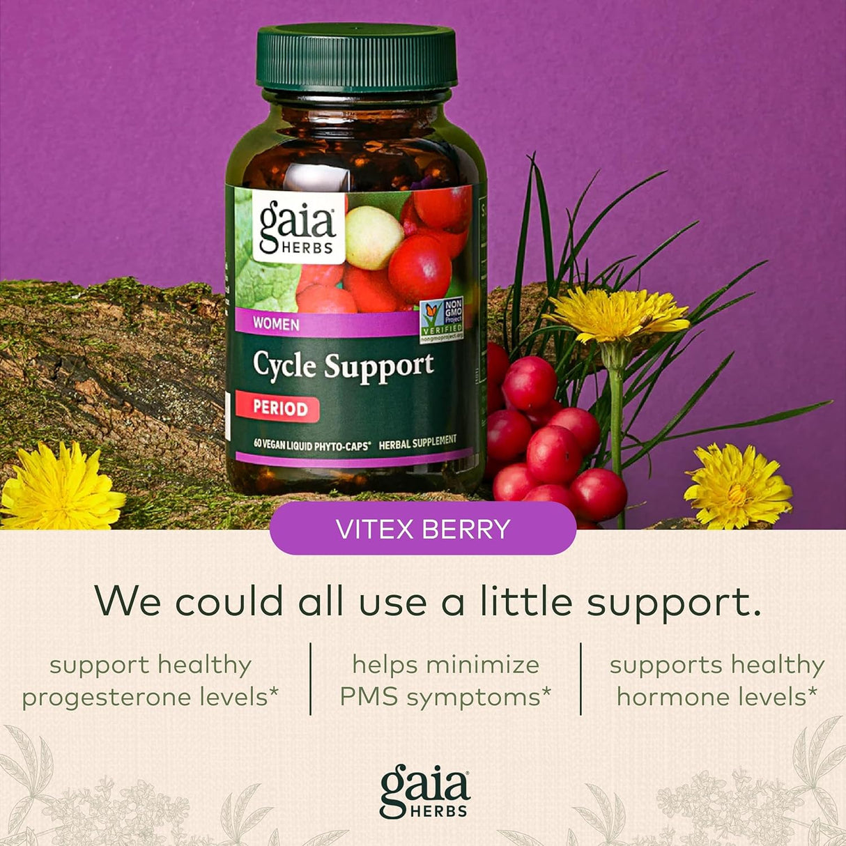 Gaia Herbs Soporte de ciclo de período - 60 cápsulas