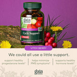 Gaia Herbs Soporte de ciclo de período - 60 cápsulas