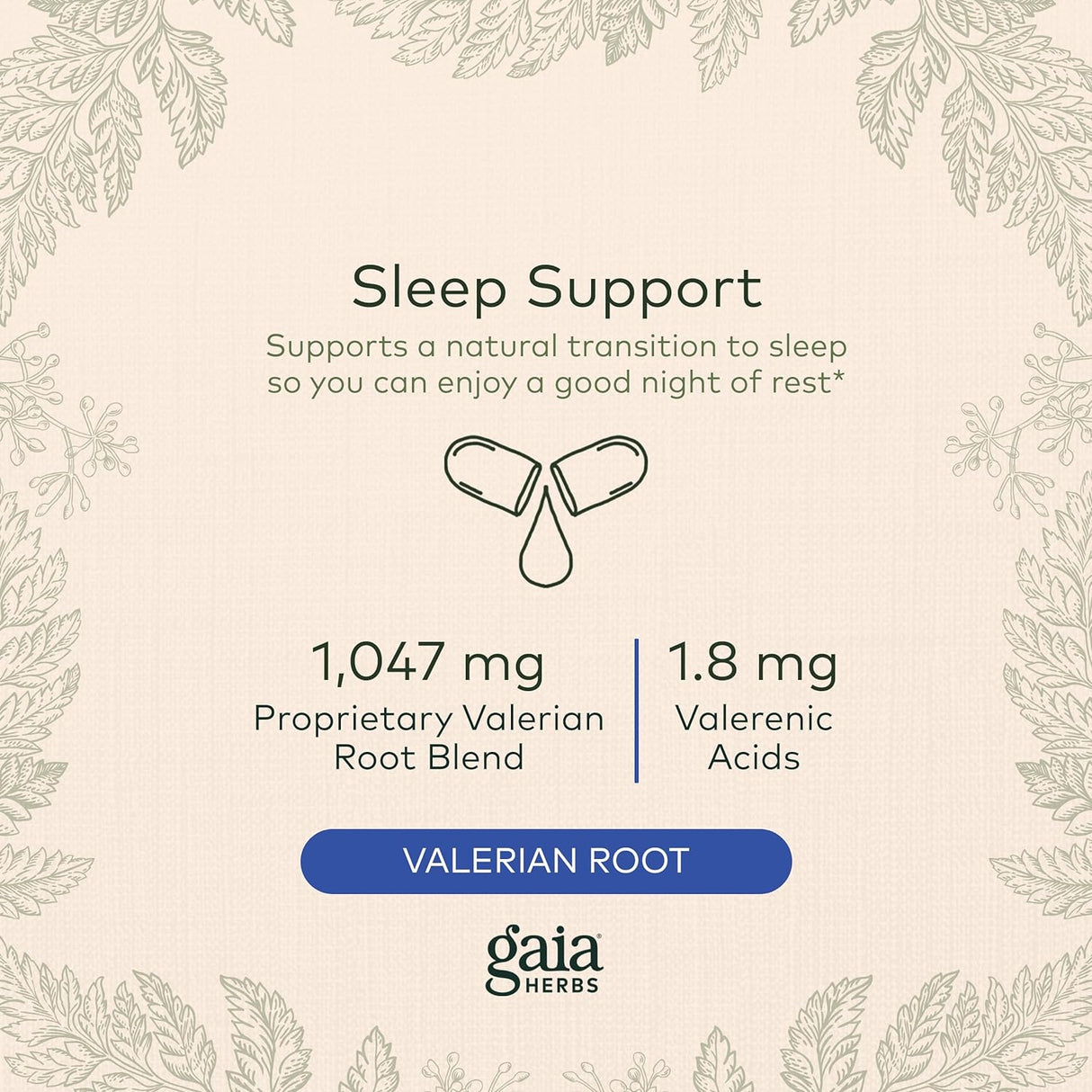 Suplemento Raíz de valeriana apoyo natural para el sueño