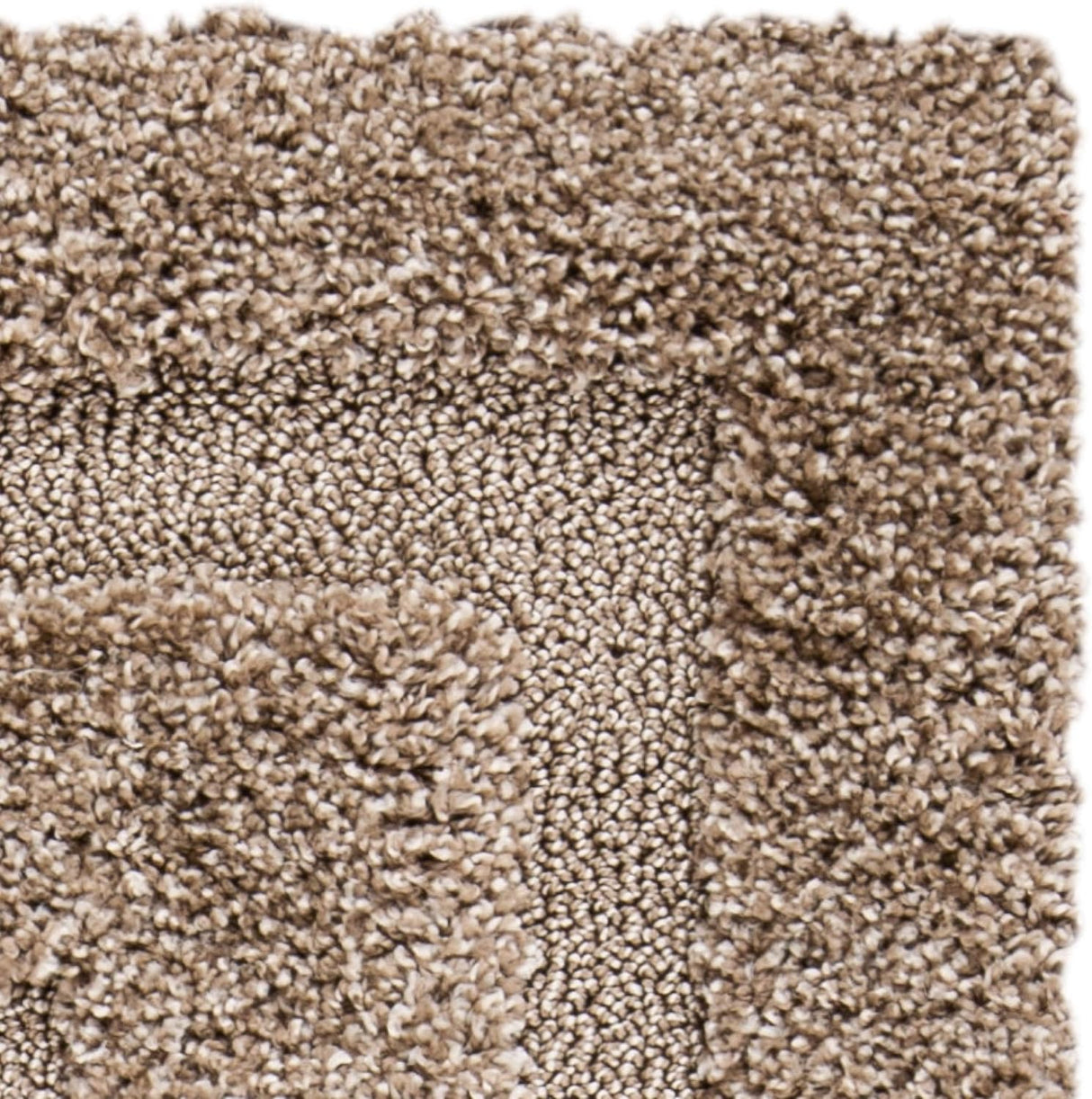 Alfombra de área SAFAVIEH Florida Shag 8'x10', fácil cuidado, SG454-1313