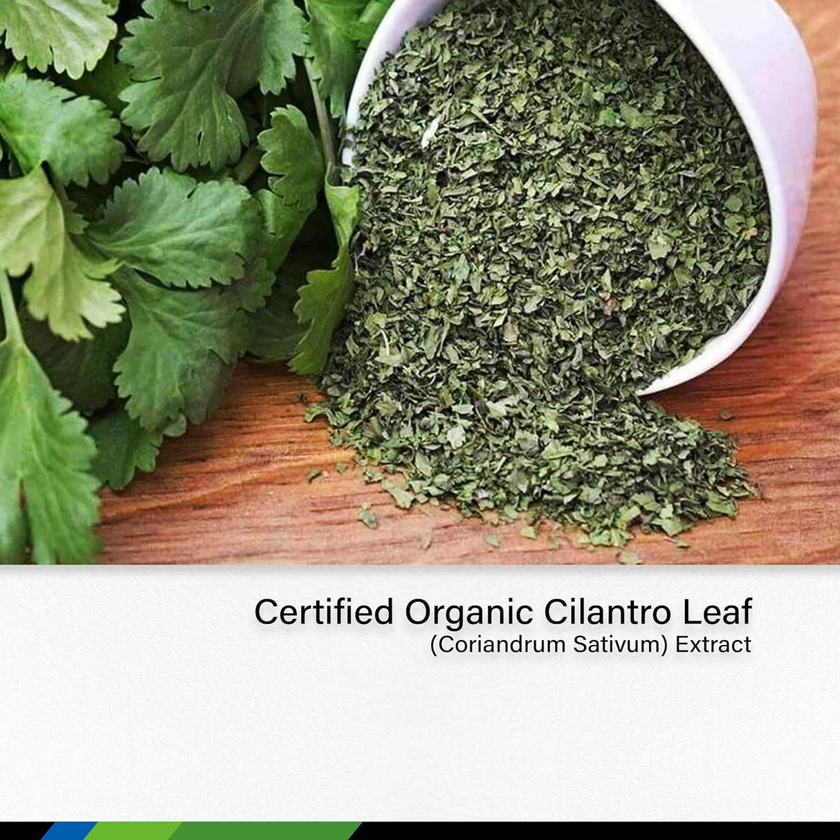 Suplementos Alimenticios de cilantro para corazón ojos