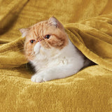 Manta Fleece Queen Bedsure - Suave, Ligera, Microfibra 90x90