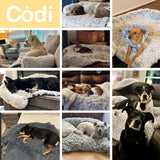 Cama para Perro Codi - Antiestrés, Lavable, 41x37x6 pulgadas