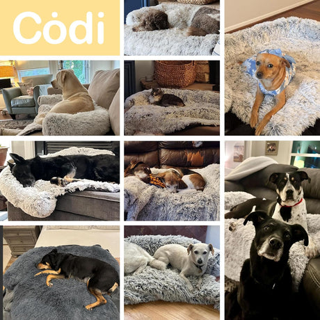 Cama para Perro Codi - Antiestrés, Lavable, 41x37x6 pulgadas