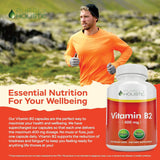 Vitamin B2 Holístico Purely, 400mg, 240 cápsulas veganas