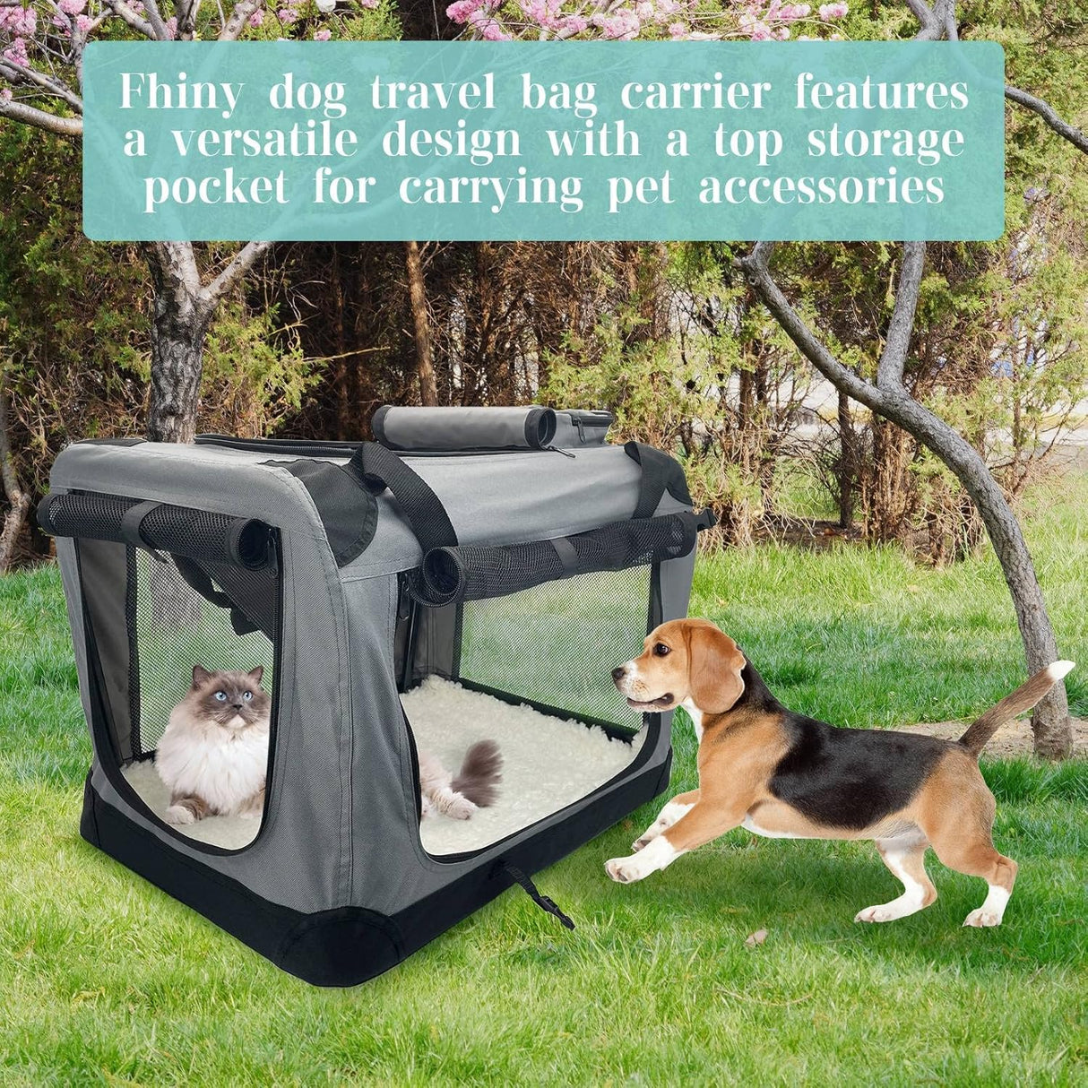 Transportín Grande para 2 Gatos, Fhiny, Plegable y Duradero