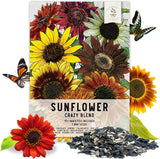 Mezcla Especial de Semillas de Girasol, 15+ Variedades