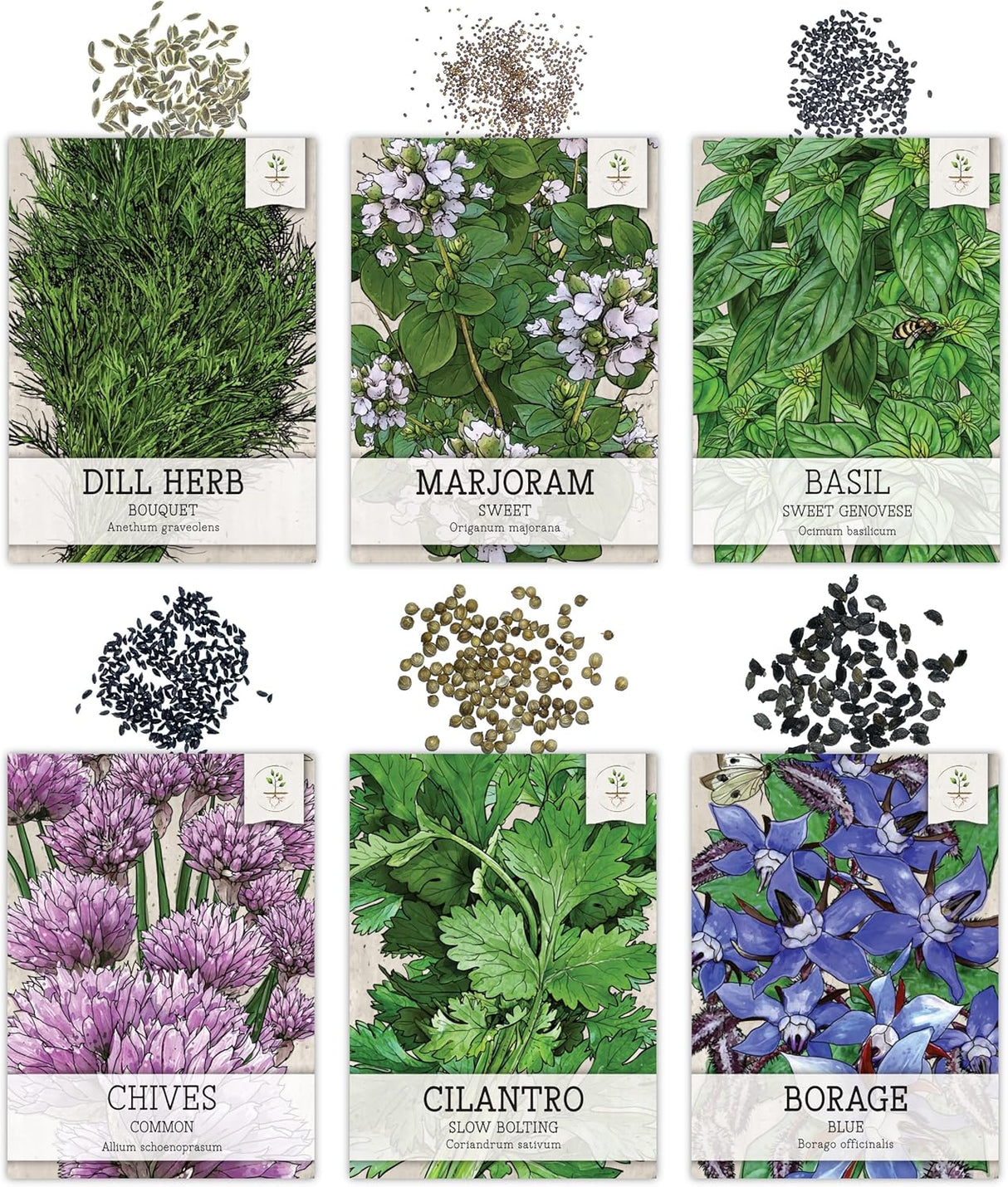 Paquete de Semillas de Hierbas, Seed Needs, 12 variedades orgánicas