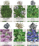 Paquete de Semillas de Hierbas, Seed Needs, 12 variedades orgánicas