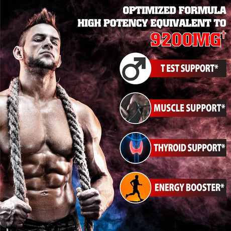 Suplementos Alimenticios masculino eficiencia de apoyo