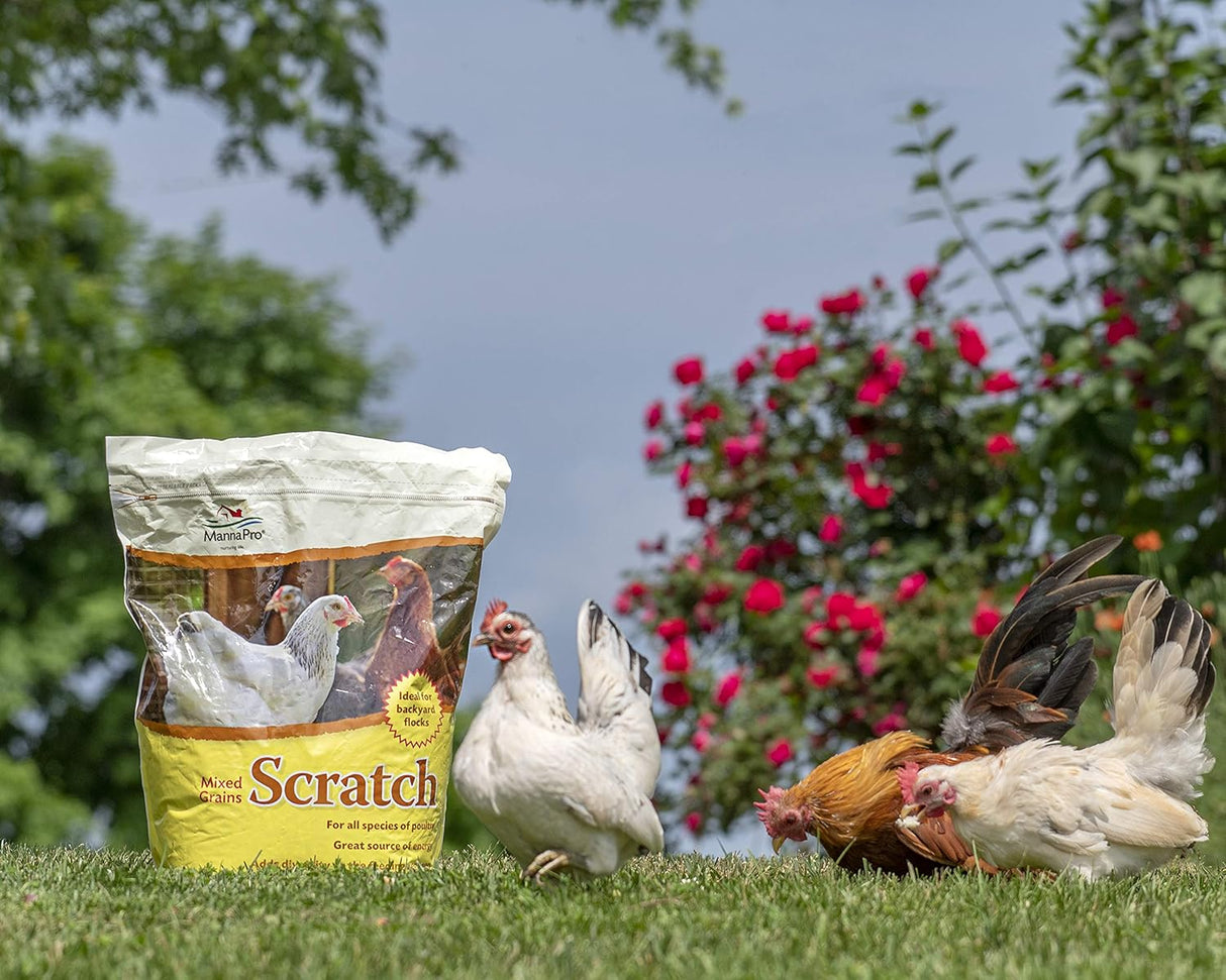 Golosina de pollo rica en nutrientes de 10 libras