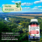 Suplemento de Ashwagandha 180 Caps | FITO MEDIC'S Lab | 12000 mg