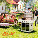 Parrilla de gas de acero inoxidable NUTRICHEF NCGRIL2